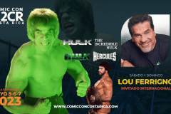 013-bBANNER-LOU-FERRIGNO
