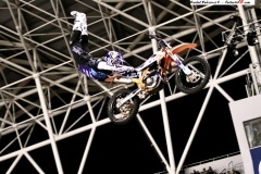 Image0001xknights