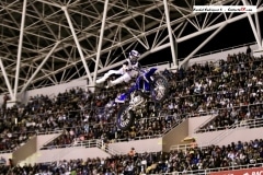 Image0007xknights