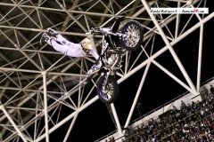 Image0008xknights
