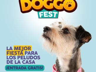 Doggo Fest