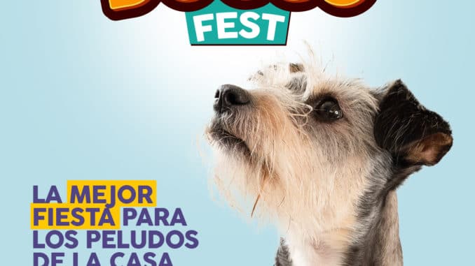 Doggo Fest