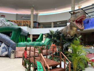 Dinosaurios